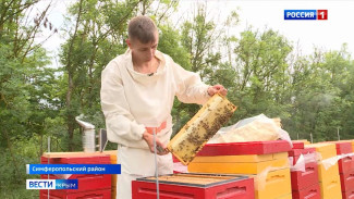 Крымские пчеловоды собирают первый урожай меда