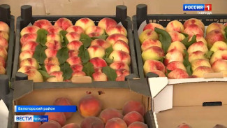 В Крыму открыли 7 придорожных сельскохозяйственных ярмарок вдоль трассы «Таврида»