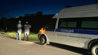 Сотрудники МВД также устанавливают обстоятельства и причины произошедшего