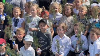 В детских садах Севастополя появятся аллеи памяти и именные деревья