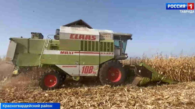 В Крыму завершается уборка кукурузы