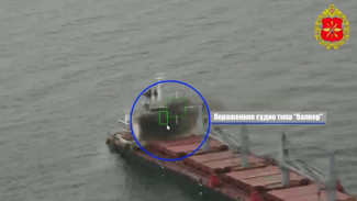 В Чёрном море и порту «Черноморск» российские военные поразили четыре сухогруза и балкер 