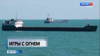 С начала этого года против судовладельцев в Керченском проливе возбуждено 2 уголовных дела