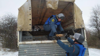 Пиротехники МЧС уничтожили 10 боеприпасов времен Великой Отечественной войны