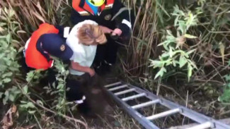 В Судаке спасли женщину, упавшую в русло реки