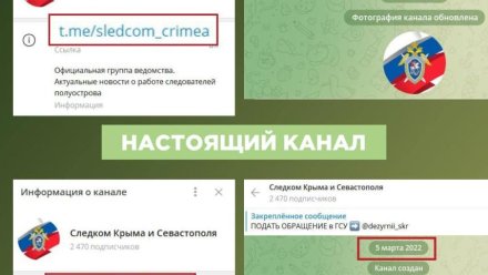 Серию фейковых Telegram-каналов госорганизаций Крыма запустили в интернете