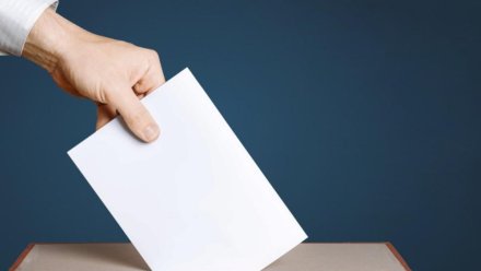 На выборах президента в Крыму применят придомовое голосование
