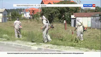 До 15 октября в Симферополе будут завершены работы по обработке территорий от амброзии