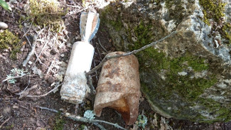 Два боеприпаса обнаружили на Большой Севастопольской тропе