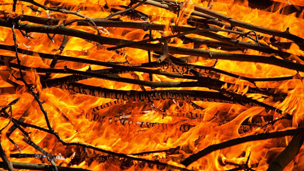 Евпаторийский «Тропикпарк» сгорел ночью: из пламени удалось спасти женщину и двух медведей