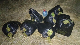 Два нетревзых крымчанина украли 200 килограммов винограда