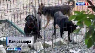 Лай раздора: в Симферополе разгорается скандал между владельцами частных домов на одной из улиц