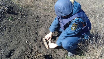 В керченском парке нашли гранату времен Великой Отечественной войны