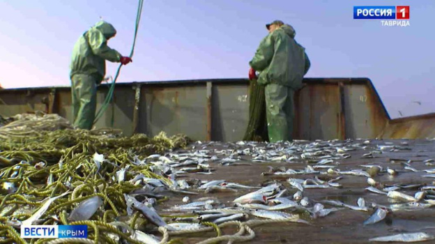 В Крыму стартует программа поддержки рыболовецких предприятий в форме субсидирования
