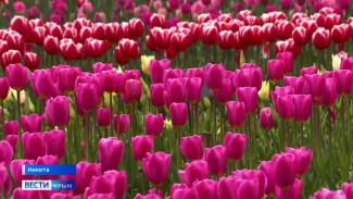 «ВЕСТИ-КРЫМ: События недели» 24.04.2022