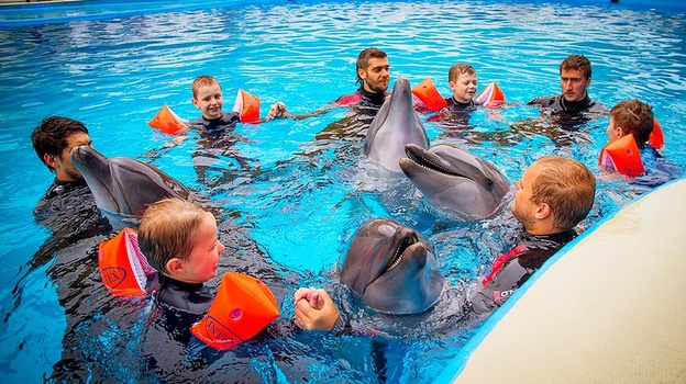 В Крыму для детей проводят сеансы дельфинотерапии