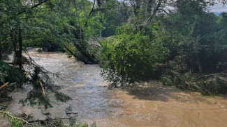 Русло реки Бельбек расчищают в Бахчисарайском районе