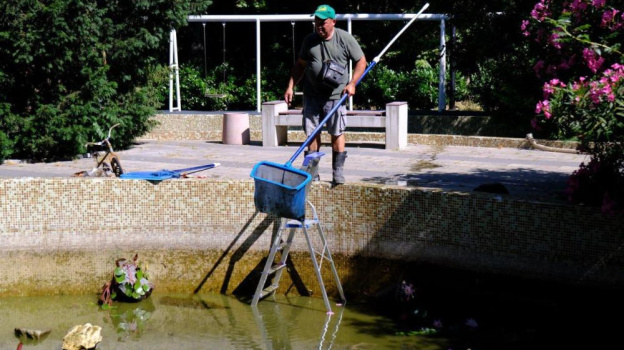  В ялтинском бассейне обнаружили неожиданную находку