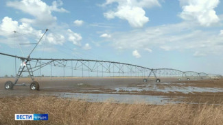 170 млн кубометров воды из Северо-Крымского канала направят на рисовые чеки