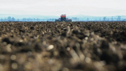 В Крыму приступили к севу озимых культур