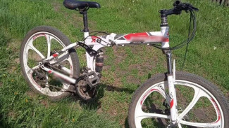 В Сакском районе у школьника украли велосипед