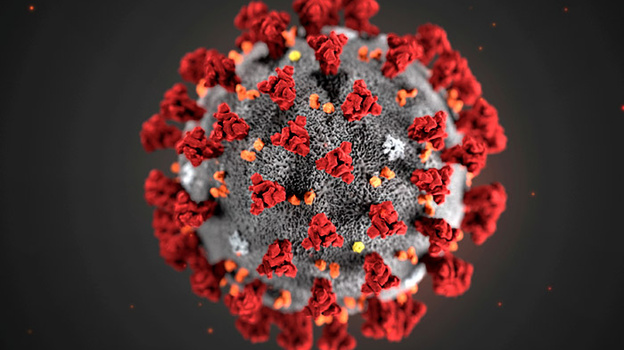 Пять правил защиты от новой коронавирусной инфекции