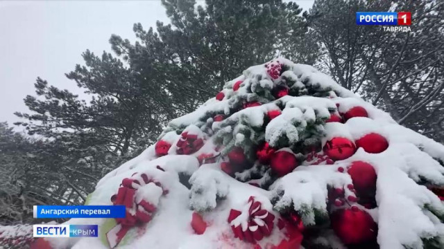 Снег и метель: В Крыму — новогодняя погода