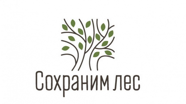 В Бахчисарайском районе пройдёт масштабная высадка крымской сосны