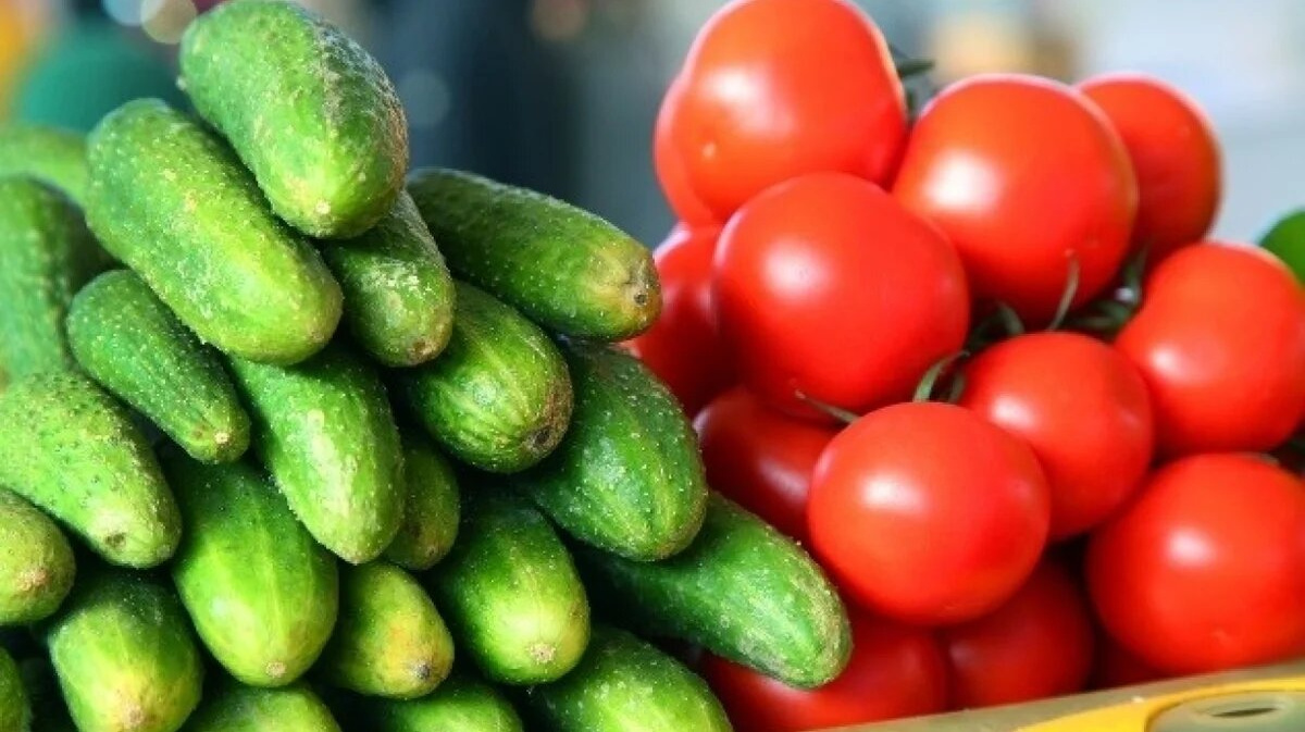 Огурцы и помидоры в России продолжают дешеветь