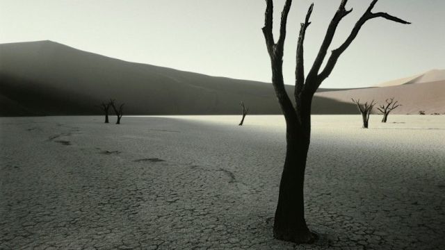 В Крыму готовы показать Западу последствия водной блокады