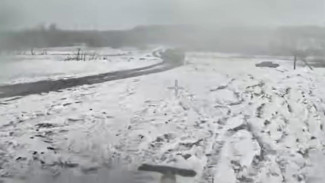 Подразделения БПЛА российских десантников уничтожили два танка и БМП ВСУ в ДНР