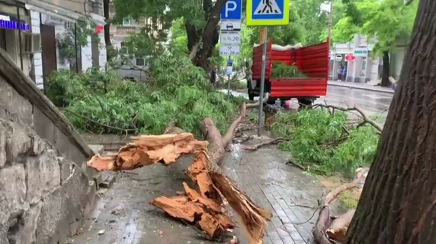 В Севастополе устраняют последствия ночной бури 