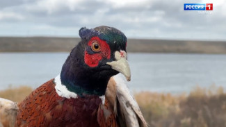 Необычный выпускной прошел на этой неделе в Крыму