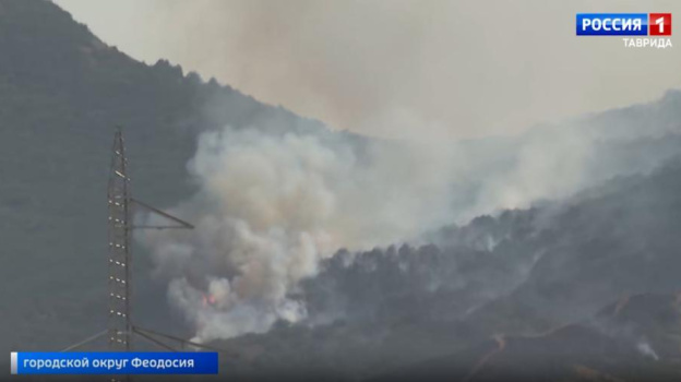 В Крыму полыхают леса Карадагского заповедника: в огне больше 30 гектаров  