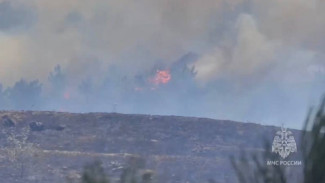 В селе Трёхпрудное продолжают тушить возгорание сухой растительности на площади 25 Га