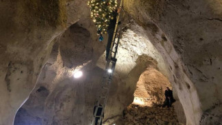 Перевернутую елку установили в пещере Таврида