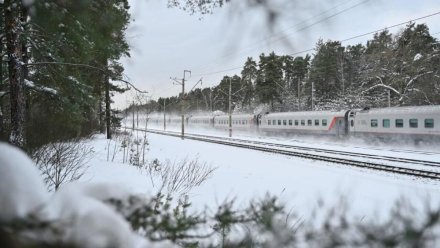 Один поезд из Крыма задерживается в пути 9 января