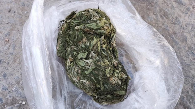 В Крыму наркоторговец попытался избавиться от марихуаны, когда увидел полицейских
