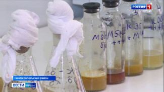 Крымские учёные помогают аллергикам