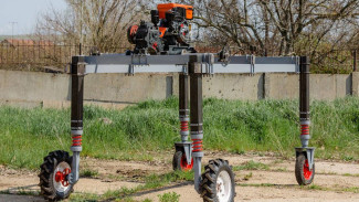 Учёные КФУ разработали беспилотник-виноградарь