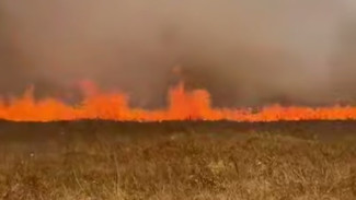 В Симферопольском районе вспыхнул ландшафтный пожар 