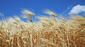 85 единиц сельхозтехники отправят из Крыма в Херсон и Запорожье