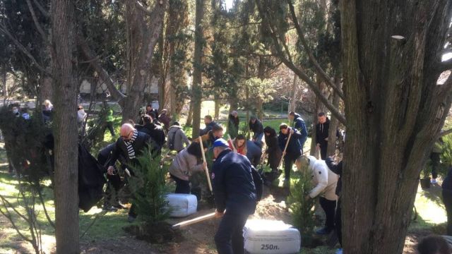 Крымчане высадили новые деревья в Форосском парке