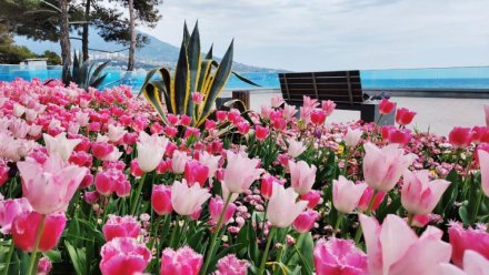 Ялтинские гостиницы заполнены более чем на 70%