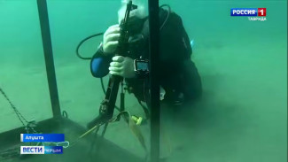 Вблизи Алушты стартовала акция «80 лет Победы — 80 рекордов»