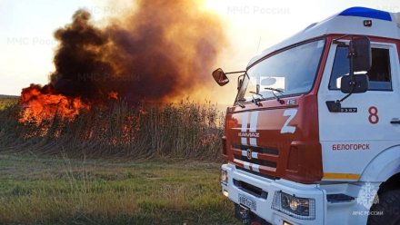 Почти 10 га сухостоя сгорело за сутки в Крыму