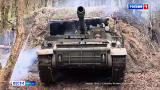 Силы ПВО сбили по восемь украинских БпЛА над Чёрным и Азовским морями за ночь 