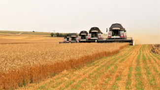 Производителям зерна в Крыму выделили более 50 миллионов рублей