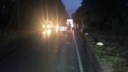 Подросток перебегал дорогу в неположенном месте и попал под колёса машины в Симферопольском районе