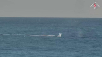 Силами Черноморского флота в акватории Черного моря и подразделениями группировки войск «Днепр» уничтожены 23 БЭКа и 5 катеров ВСУ